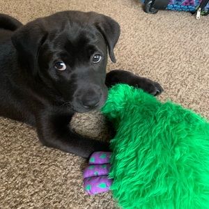 Meet your Posher, Daniela